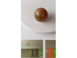 Томат Черри Фиолетовый сахар Рейнхарда (Reinhards Purple Sugar)