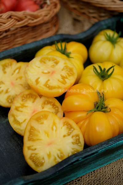 Томат CDOXCDH Б. Хортона, 10 шт