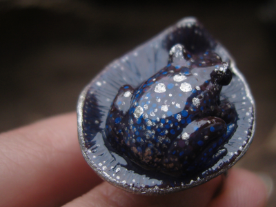 Космическое фэнтези-кольцо с лягушкой "Ведунья Алькора" с родолитом