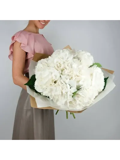 9 розовых гортензий