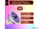 BLV WhiteStar EXT 6500K 50w 12v 12° GU5.3