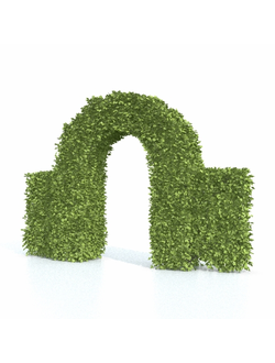 стриженые Арка 2 из кустарника