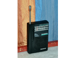 Tecsun R-828T