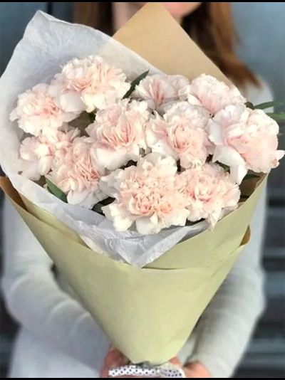 Букет из 11 диантусов (цвет на выбор)