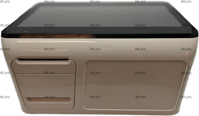 Зеленоград, кассовый чек, логотип компании, магазин одежды, QR-код, обновление ПО, возврат товара