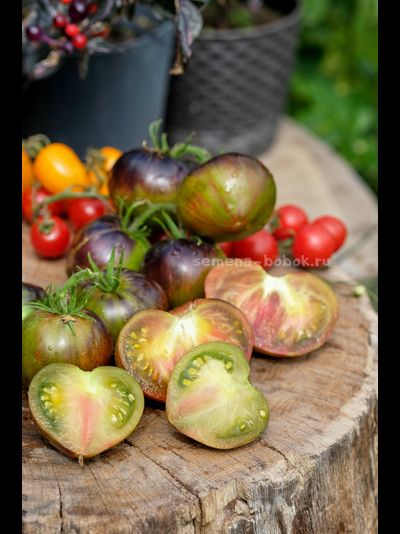 Томат Изумрудный Дождь, 10 шт