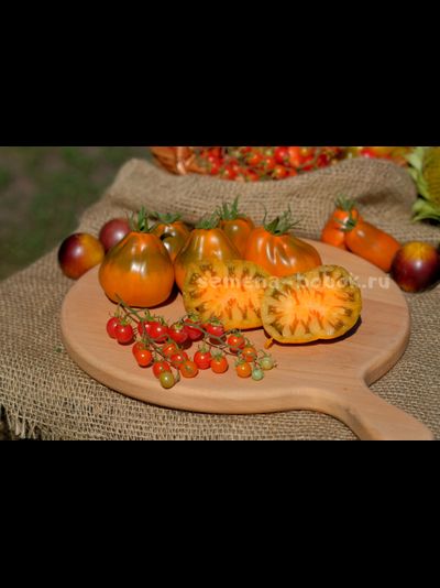 Томат Ярсон 13 (Охровая груша), 10 шт