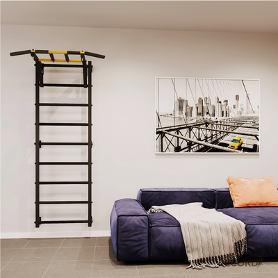 Шведская стенка Рекорд X1 (без опоры на пол)