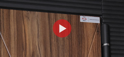 Стальная дверь   Сапсан с зеркалом (биометрический замок Smart lock Y23)