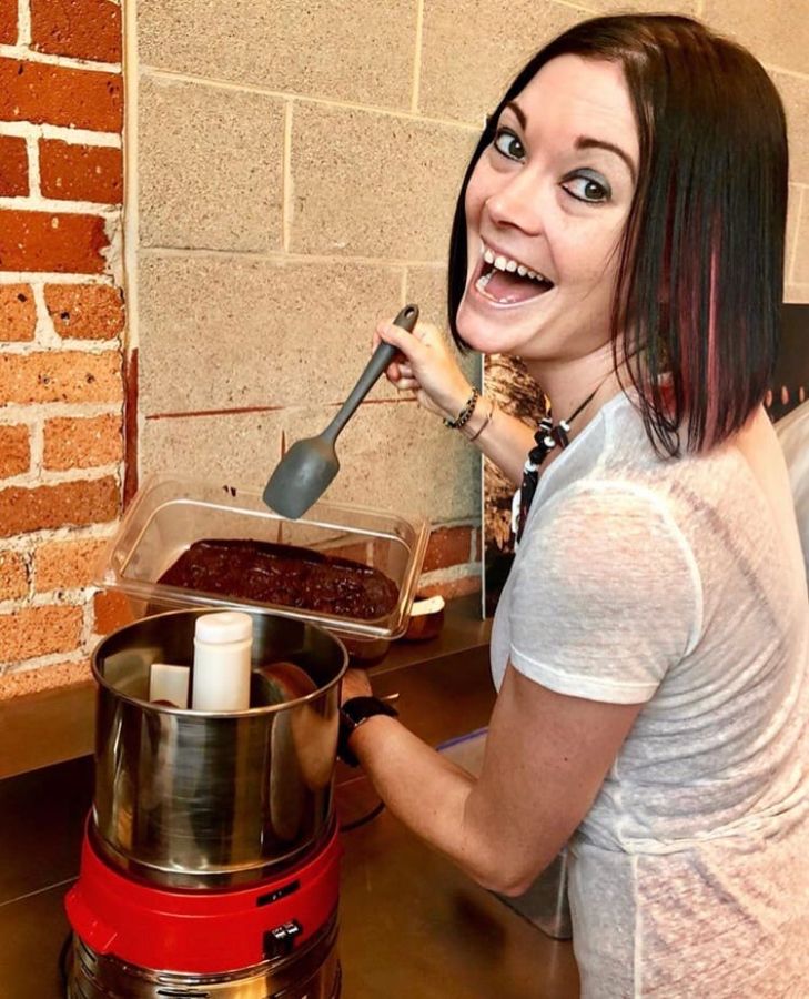 Из чего изготовлены Меланжеры Premier (Премьер)