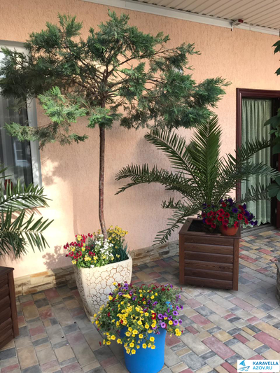 Дом №302 с бассейнами - 2-местный номер стандарт