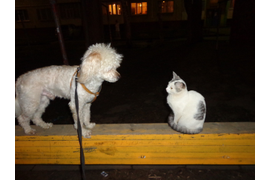 Кузьмина Г П  "Встреча"