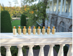 ОСЕННИЕ МОТИВЫ ПЕТЕРБУРГА