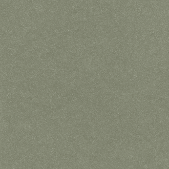 N294