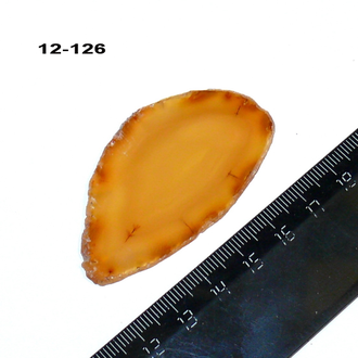 Агат натуральный (срез) горчичный №12-126: 59*33*4мм