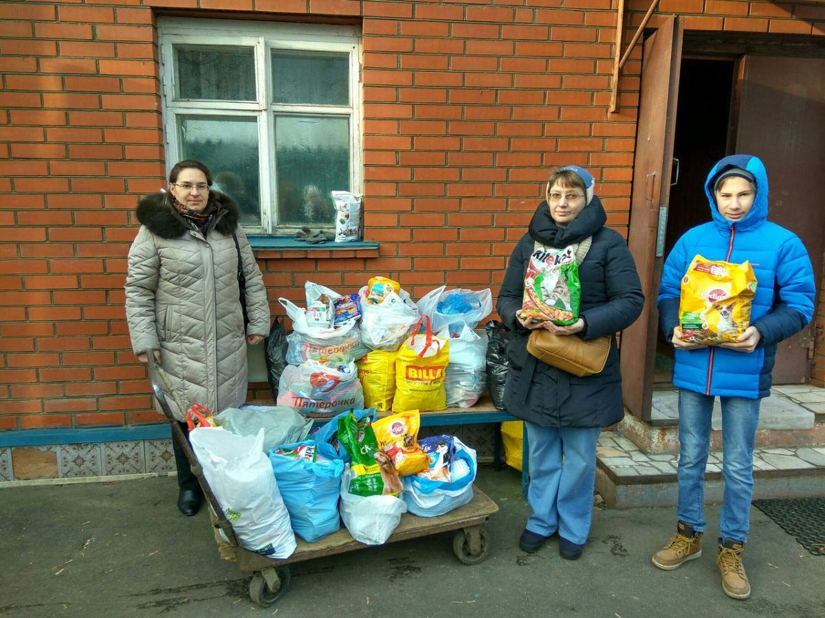 СПАСИБО ВОЛОНТЕРАМ ЗА ПОМОЩЬ ЖИВОТНЫМ