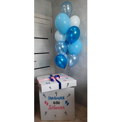 Гендер Пати