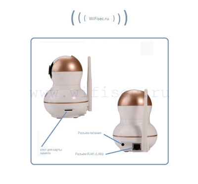 BW. Видеоняня /WiFi-LAN видеокамера моторизированная с DVR , HD (163Eye/Yoosee)