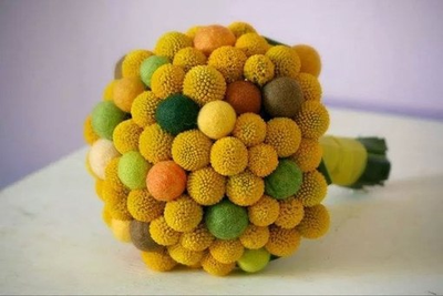 Силиконовый молд "Краспедия "