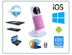 Видеоняня /WiFi видеокамера CleverDog с DVR