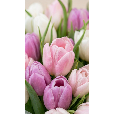 Букет цветов на 8 марта № 762