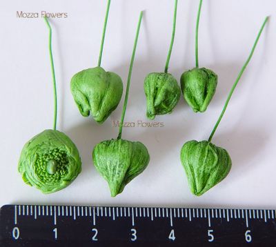 "Бутоны ранункулюса" Силиконовый молд.