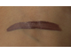 Жидкие стойкие тени NYX Lid Lingerie (eye tint) NYX Lid Lingerie 13 A-Line