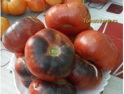 Экзотические сорта томатов