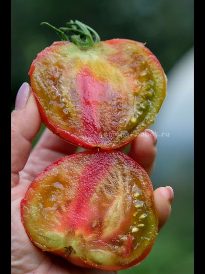 Томат Кленовое Сердце, 10 шт