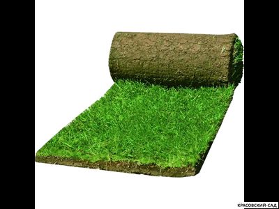 Рулонный газон Универсальный классический