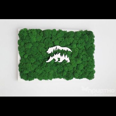 ЖИВАЯ ЭКО-КАРТИНА 1038