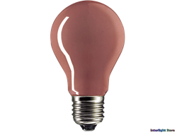 Narva Coloured Farbig Red AGL 40w 230v E27