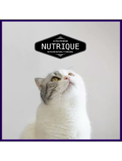 Повседневные сухие корма Vitalcan для кошек