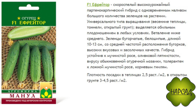 ОГУРЕЦ "ЕФРЕЙТОР F1" (не требует опыления, ВКУСНЫЙ САЛАТНЫЙ)