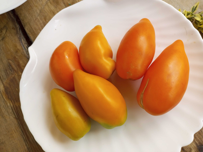 Томат Золотой клык