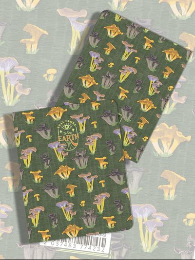 Тетради с Грибами 5 дизайнов - 24 листа