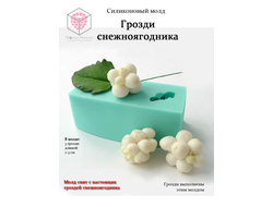 Силиконовый молд "Грозди снежноягодника"