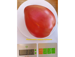 Томат Малиновое сердце Румянки (Malinowe Serce Rumianki)