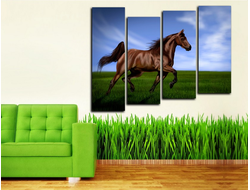 Модульная картина "Коричневая грива"