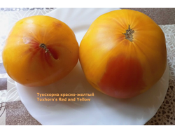 Томат Туксханс красно-жёлтый (Tuxhorn’s Red and Yellow)