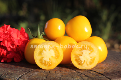 Томат Bosque Blue Bumblebee (Боске Блю Бамблби), 10 шт.