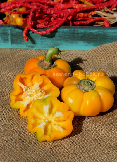 Сладкий перец Тыковка, 10 шт