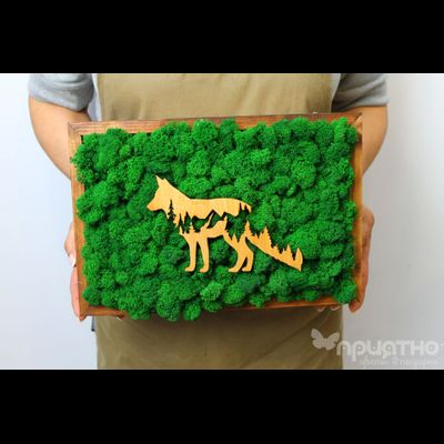 ЖИВАЯ ЭКО-КАРТИНА 1027