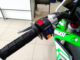 Питбайк PROGASI SMART 150 фото