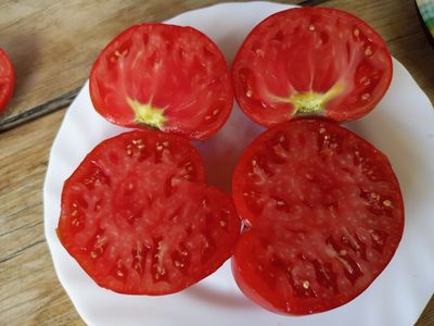 Томат Канадский великан