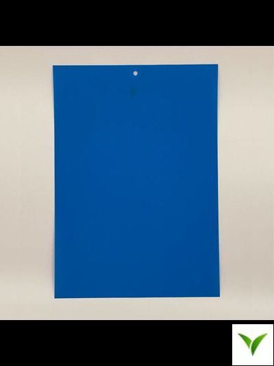 Клеевая пластина синяя