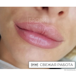 Губы. Пыльная роза