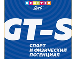 Отчет GT-S на 16 страницах