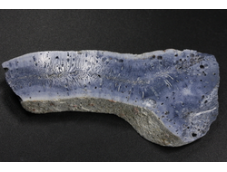 Коралл голубой Акори, Австралия (64*28*10 мм, 20 г) №37704