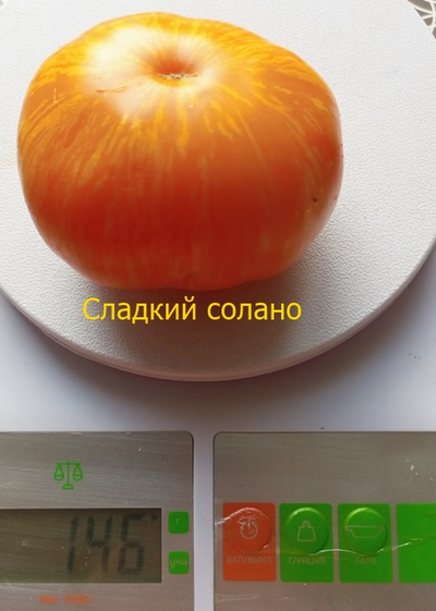 Томат Сладкий Солано (AAA Sweet Solano)